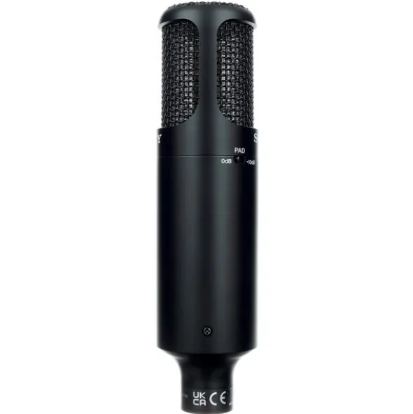 Sony C-80