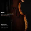 Spitfire Audio BBC Symphony Orchestra Pro