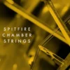Spitfire Audio Chamber Strings