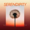 Spitfire Audio Serendipity