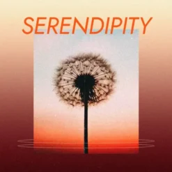 Spitfire Audio Serendipity