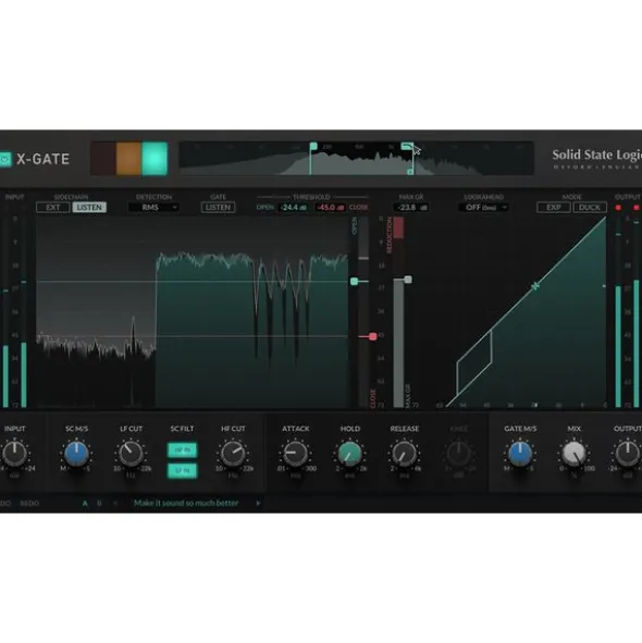 SSL X-Gate