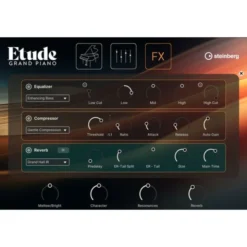 Steinberg Etude