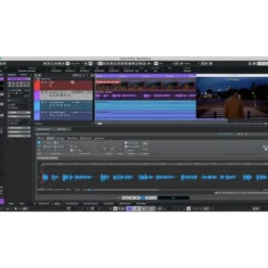 Steinberg Nuendo 15 CG Nuendo Live