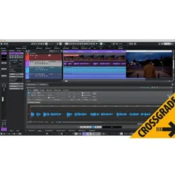 Steinberg Nuendo 15 CG Nuendo Live