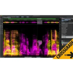 Steinberg SpectraLayers Pro 13 Comp. CG