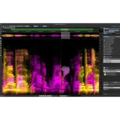 Steinberg SpectraLayers Pro 13 Comp. CG