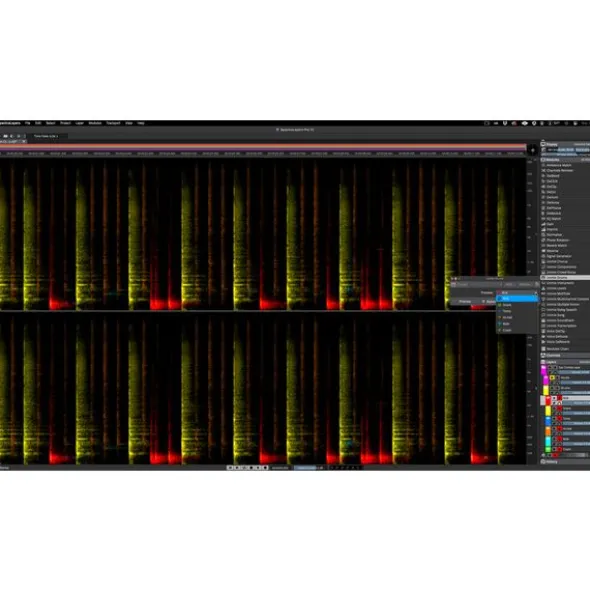 Steinberg SpectraLayers Pro 12