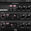 Strymon DIG Plugin