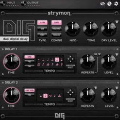Strymon DIG Plugin