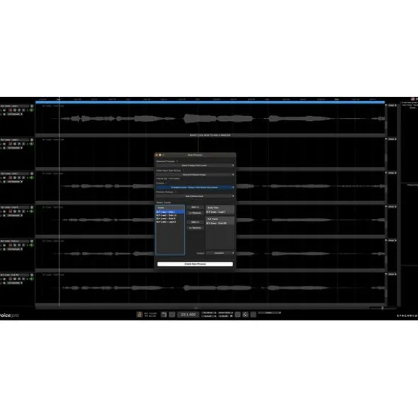 Synchro Arts Revoice Pro 5 UG Revoice Pro 4