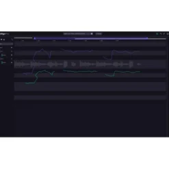 Synchro Arts VocAlign 7 Pro UPG