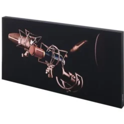 t.akustik Print Panel Mic Check