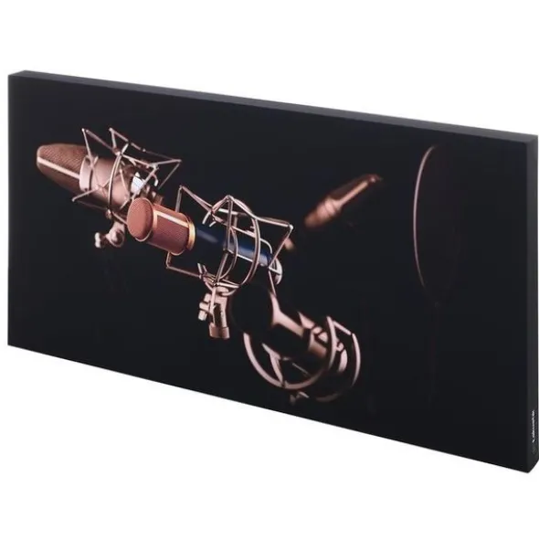 t.akustik Print Panel Mic Check