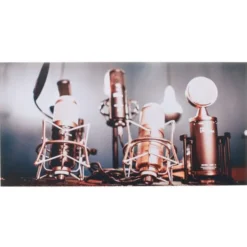 t.akustik Print Panel Shiny Mics