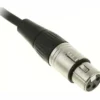 the sssnake SM6BK