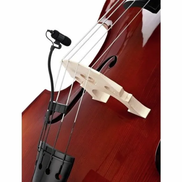 the t.bone Ovid System Bass Bundle
