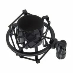 the t.bone SSM 2