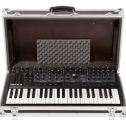 Thon Case Sequential Take 5