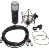Universal Audio Sphere DLX Modeling Microphone