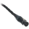 Vovox excelsus direct S100 XLRf/XLRm