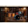 XLN Audio AD 2 Custom XL Collection