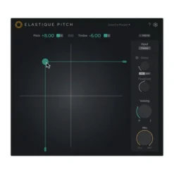 zplane Elastique Pitch