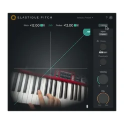 zplane Elastique Pitch